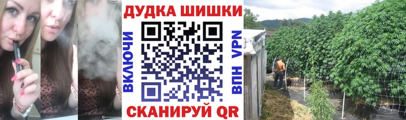 Конопля гибрид  магазин    Волчанск 